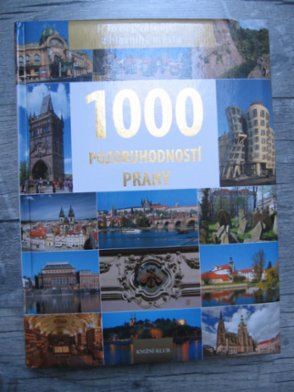1000 pozoruhodností Prahy, David, Soukup
