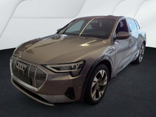 Audi e-tron, Advanced quattro 50 LED 50, SUV,