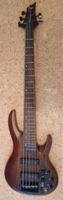 Baskytara pětistrunná ESP/LTD B-1005